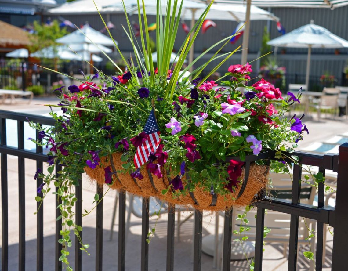 a floral arrangement outside the pool at the club at harpers point in cincinnati aquatic center